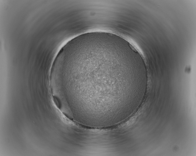 X0000091460996200709061753