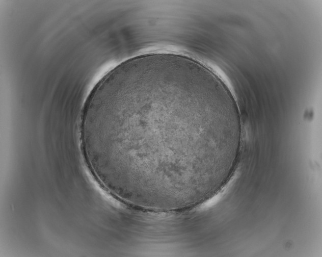 X0000091460997200709061753