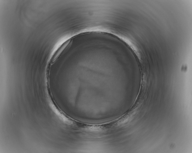 X0000091460998200709061753