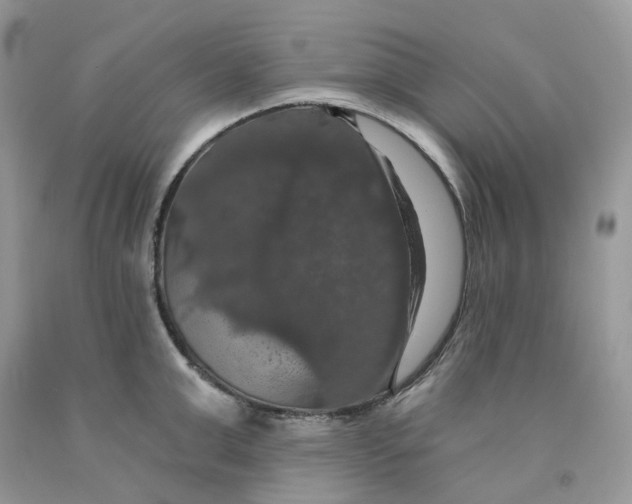 X0000091460999200709061753