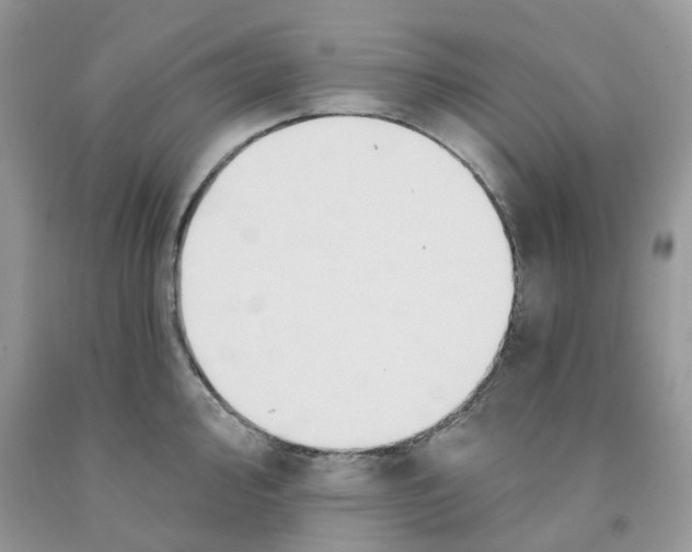 X0000091461000200709061753