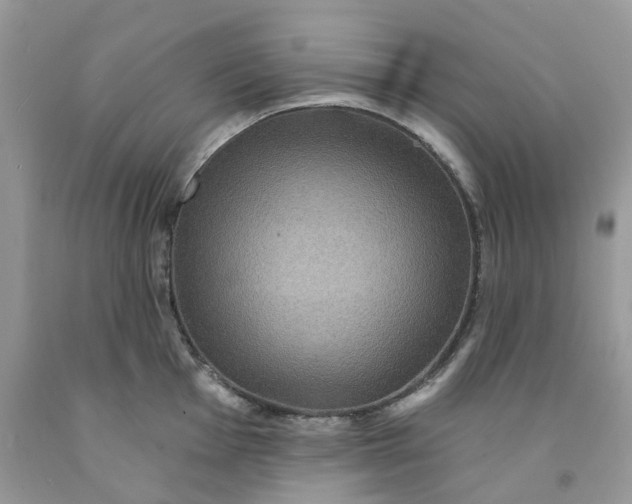 X0000091461001200709061753