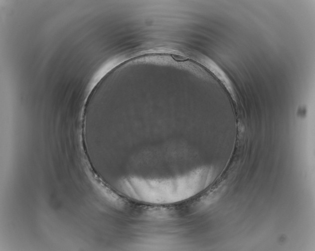 X0000091461002200709061753