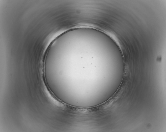 X0000091461003200709061753