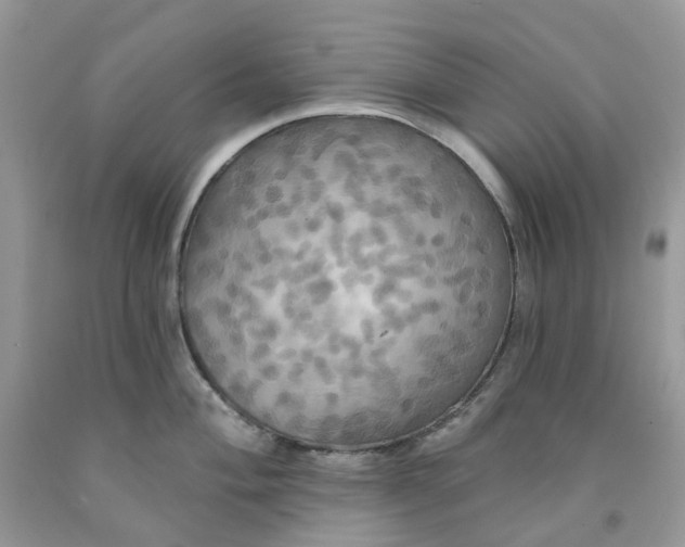 X0000091461004200709061753