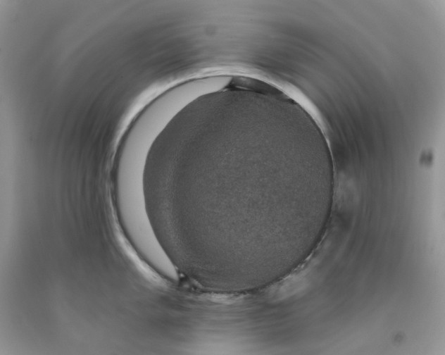 X0000091461005200709061753