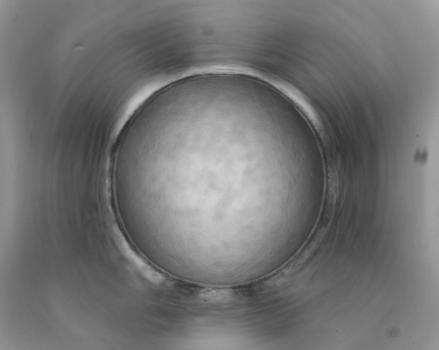 X0000091461006200709061753