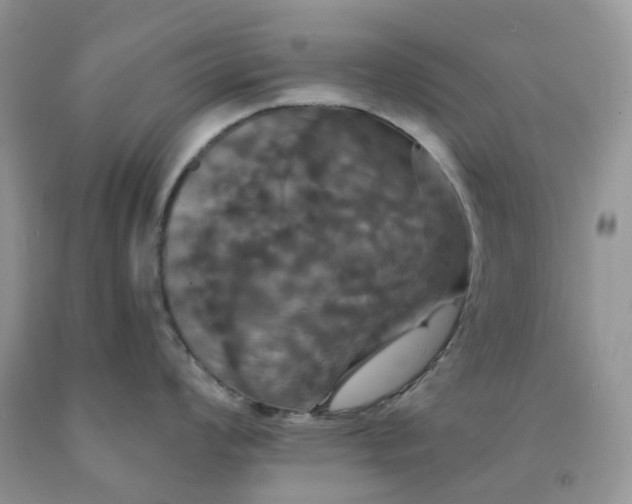 X0000091461008200709061753