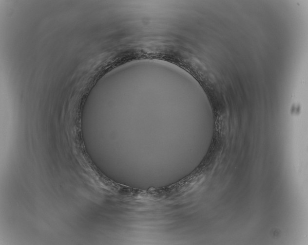 X0000091461009200709061752