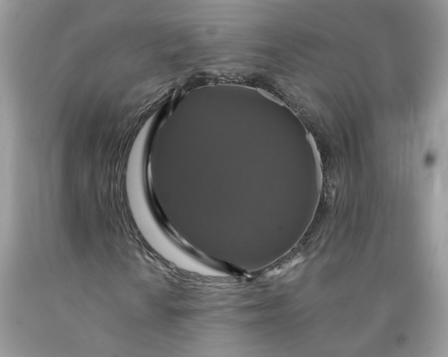 X0000091461010200709061752