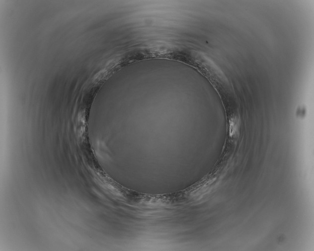 X0000091461011200709061752