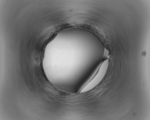 X0000091461012200709061752