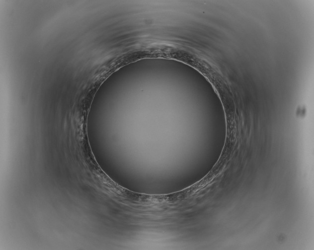 X0000091461013200709061752