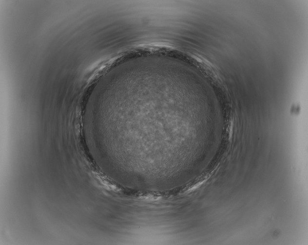 X0000091461014200709061752