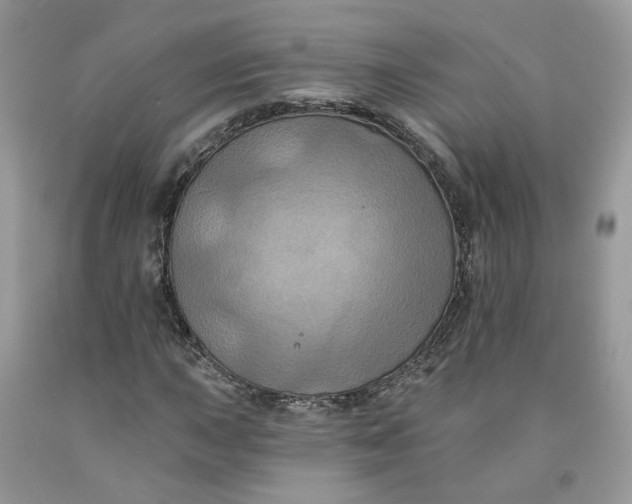 X0000091461015200709061752