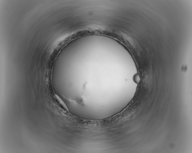 X0000091461016200709061752