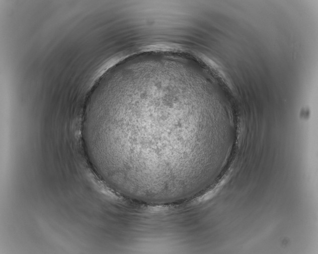 X0000091461017200709061752