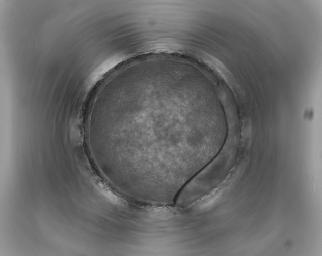 X0000091461018200709061752