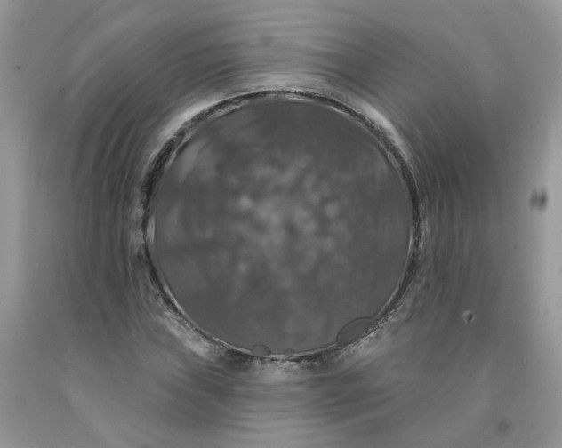 X0000091461019200709061752