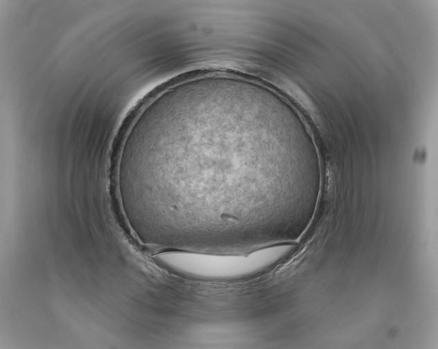 X0000091461020200709061752