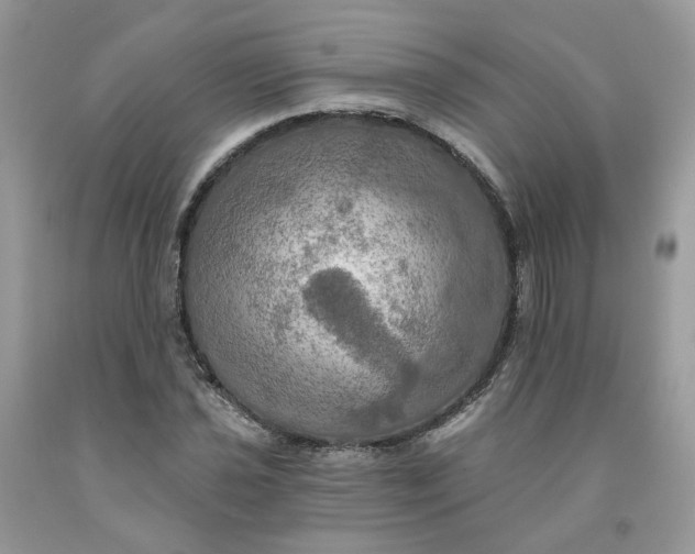 X0000091461021200709061752