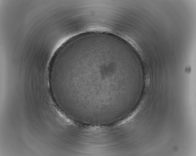 X0000091461022200709061752