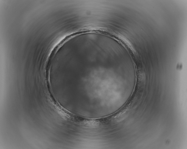 X0000091461023200709061752