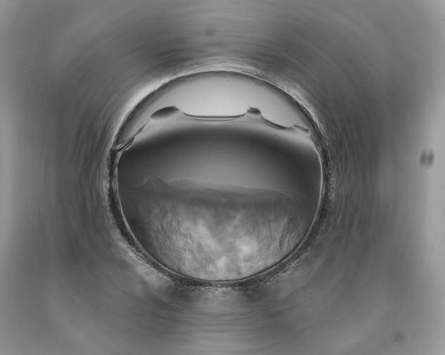 X0000091461024200709061752