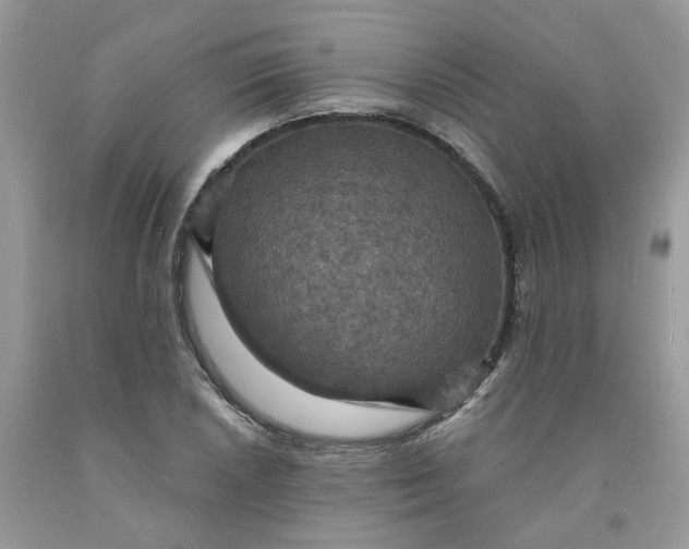 X0000091461026200709061752