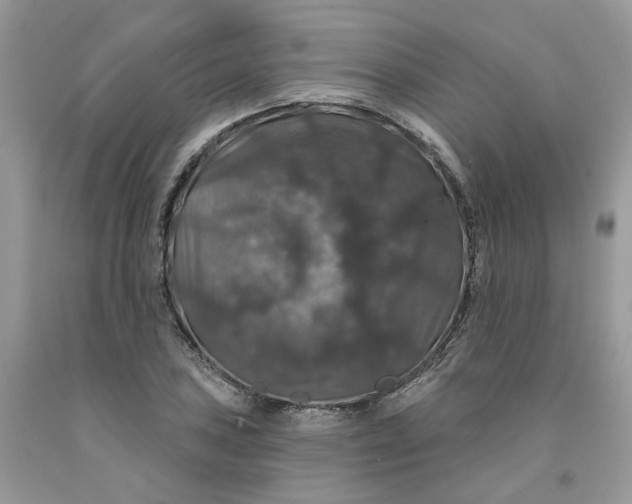 X0000091461027200709061752