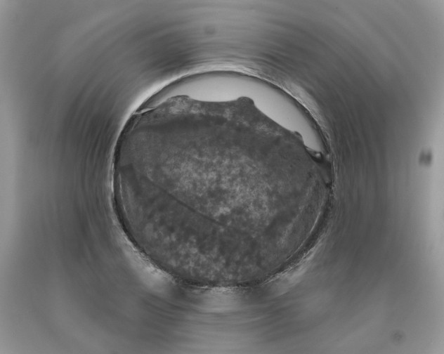 X0000091461028200709061752