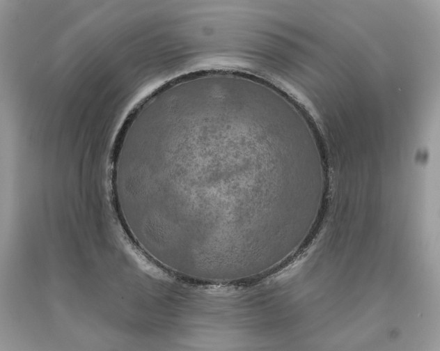 X0000091461029200709061752