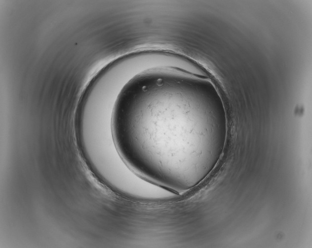 X0000091461030200709061752