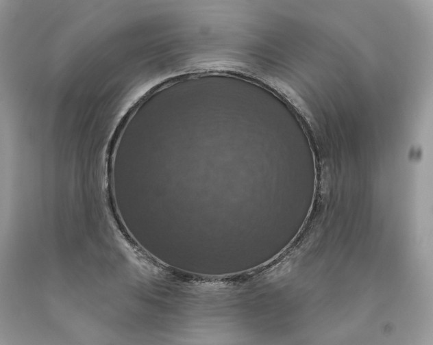 X0000091461031200709061752