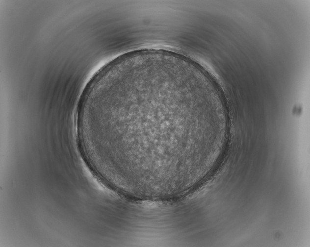 X0000091461032200709061752