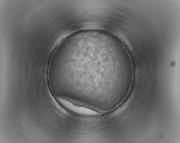 X0000091461033200709061752