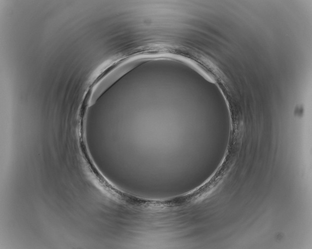 X0000091461034200709061752