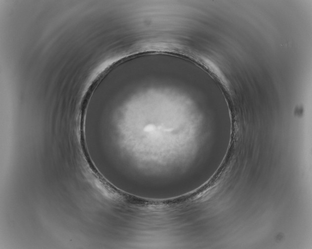 X0000091461035200709061752