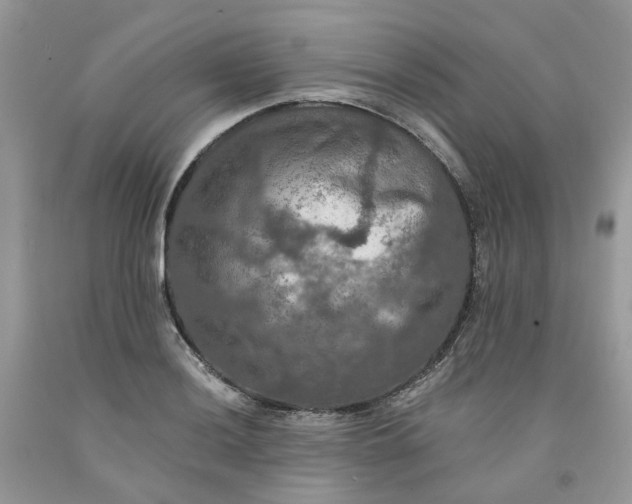 X0000091461036200709061752