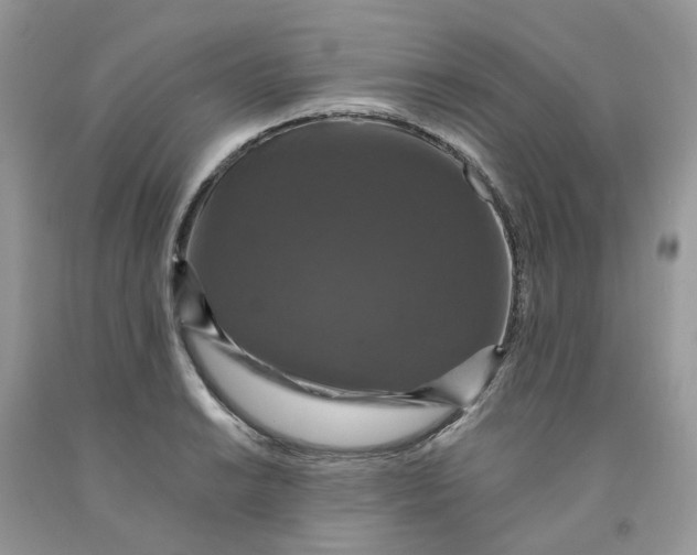 X0000091461038200709061752