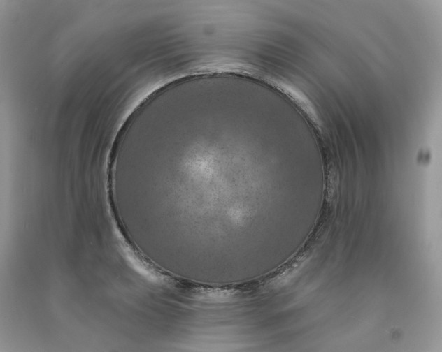 X0000091461039200709061752