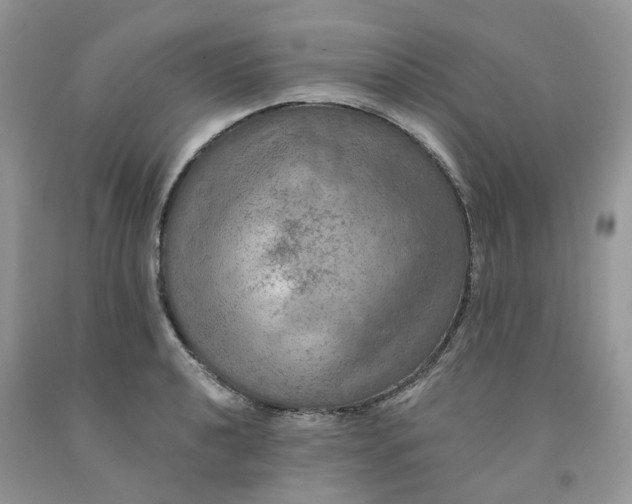 X0000091461040200709061752