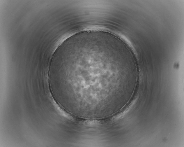 X0000091461041200709061752