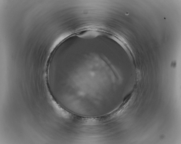 X0000091461042200709061752