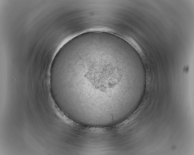 X0000091461044200709061752