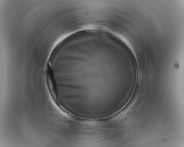 X0000091461045200709061752