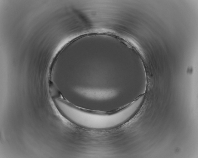 X0000091461046200709061752