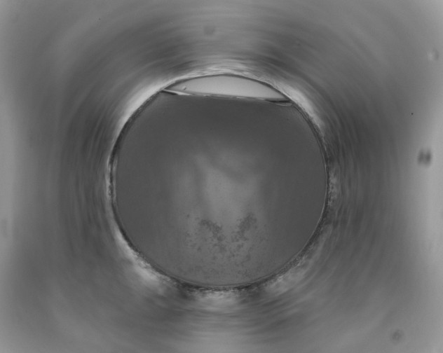 X0000091461047200709061753