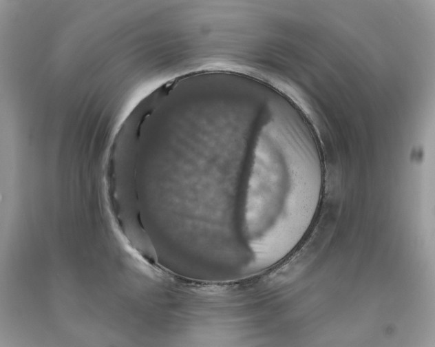 X0000091461048200709061753