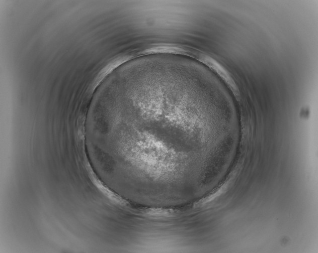 X0000091461049200709061753